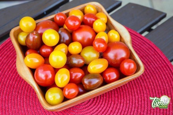 Cà chua socola có tốt không