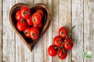 hướng dẫn cách trồng cà chua