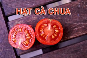 Hạt cà chua – Lợi ích đáng kinh ngạc không phải ai cũng biết