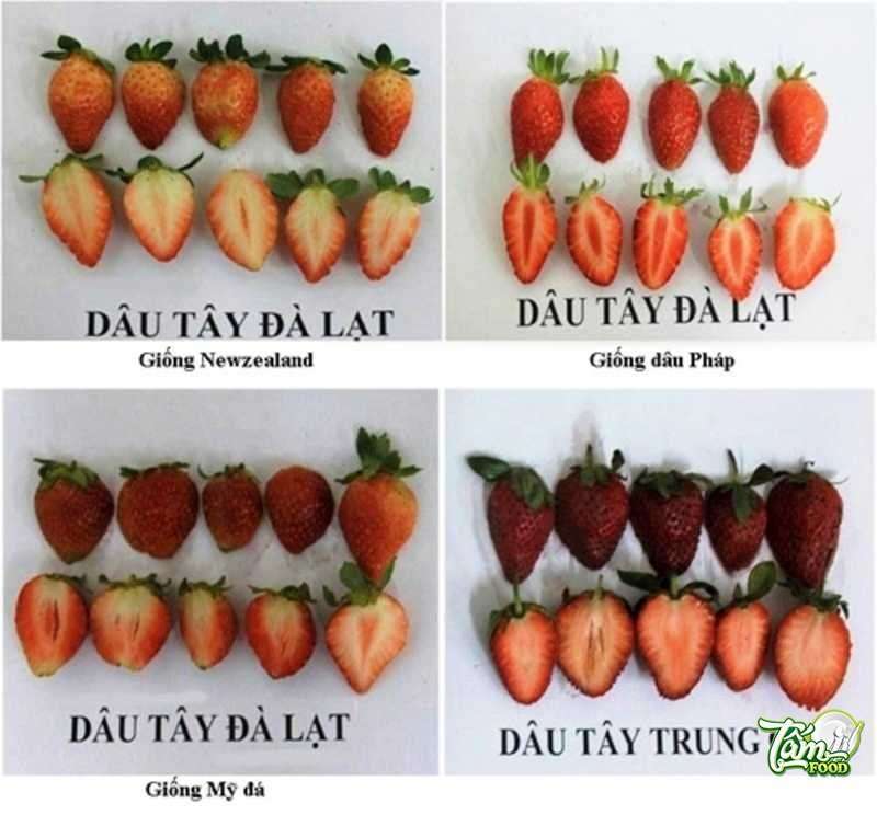 vườn dâu tây đà lạt
