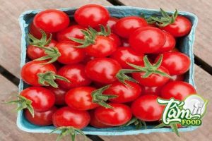 Thời gian thu hoạch cà chua