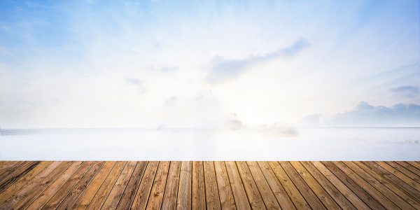 đông trùng hạ thảo là gì? tất cả thông tin về đông trùng hạ thảo