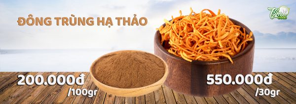 đông trùng hạ thảo
